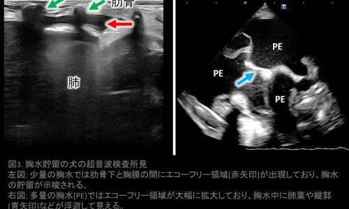 贝悦孕妇护肤品合格吗是真的吗-贝悦孕妇护肤品合格吗是真的吗、贝悦孕妇护肤品合格吗能用吗 -贝悦孕妇护肤品合格吗网