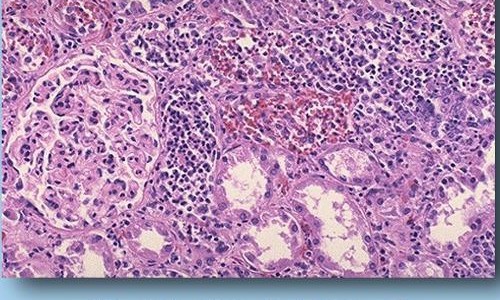 贝悦孕妇护肤品合格吗是真的吗、贝悦孕妇护肤品合格吗能用吗 -贝悦孕妇护肤品合格吗网